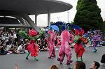 Dcim6529/DSC_0654