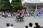 Dcim6529/DSC_0691