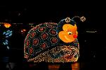 Dcim6531/DSC_1079