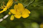 Dcim6538/DSC_0478
