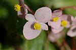 Dcim6538/DSC_0483