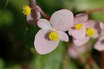 Dcim6538/DSC_0484