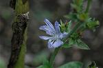 Dcim6539/DSC_0651