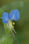 Dcim6541/DSC_0663