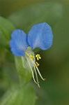 Dcim6541/DSC_0664