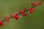 Dcim6541/DSC_0669