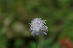 Dcim6541/DSC_0700