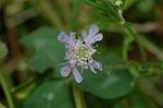 Dcim6541/DSC_0701