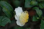Dcim6541/DSC_0716