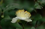 Dcim6541/DSC_0717