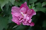 Dcim6542/DSC_0756