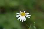 Dcim6542/DSC_0802