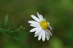 Dcim6542/DSC_0808