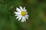 Dcim6542/DSC_0809