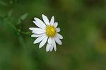Dcim6542/DSC_0810
