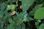 Dcim6543/DSC_1965