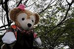 Dcim6543/DSC_1986