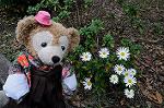 Dcim6543/DSC_1994