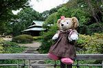Dcim6543/DSC_2042