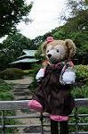 Dcim6543/DSC_2044