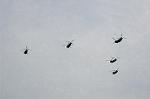 Dcim6548/DSC_2720