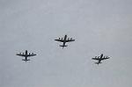 Dcim6548/DSC_2733