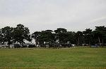 Dcim6552/DSC_3258
