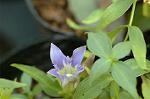 Dcim6558/DSC_0872