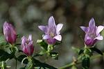 Dcim6558/DSC_0900