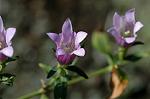 Dcim6558/DSC_0902