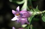 Dcim6558/DSC_0907