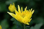 Dcim6559/DSC_0989