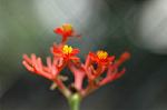 Dcim6559/DSC_1044