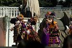 Dcim6575/DSC_1270