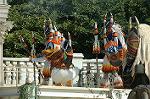 Dcim6576/DSC_1351