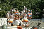 Dcim6576/DSC_1377