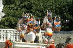 Dcim6576/DSC_1378