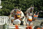 Dcim6576/DSC_1379