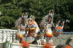 Dcim6576/DSC_1380