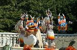 Dcim6576/DSC_1381