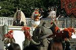 Dcim6576/DSC_1386