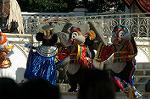 Dcim6577/DSC_1505