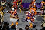 Dcim6581/DSC_4656