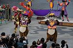 Dcim6581/DSC_4664
