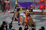 Dcim6582/DSC_4684