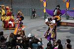 Dcim6582/DSC_4728