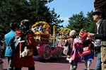 Dcim6583/DSC_4966