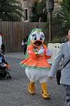 Dcim6587/DSC_5415