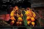 Dcim6587/DSC_5548