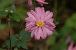Dcim6600/DSC_2014